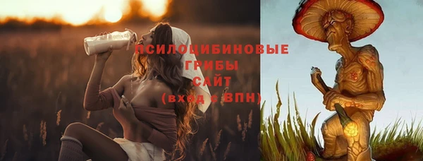 твердый Алзамай