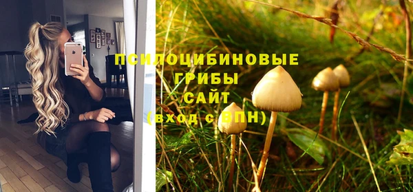 дмт Няндома
