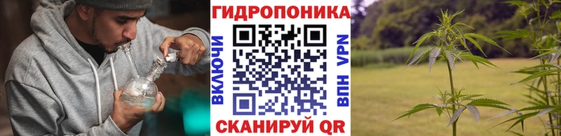Каннабис план дарнет шоп Новоржев